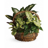 Great Garden Basket