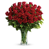 Love & Devotion Long Stem Roses