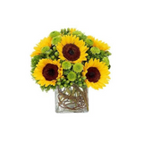 Sunny Surprise Bouquet