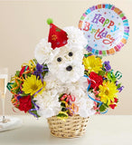 Another Year Rover