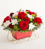 Dashing Through the Snow Sleigh™