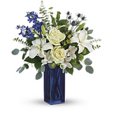 Calming Cobalt