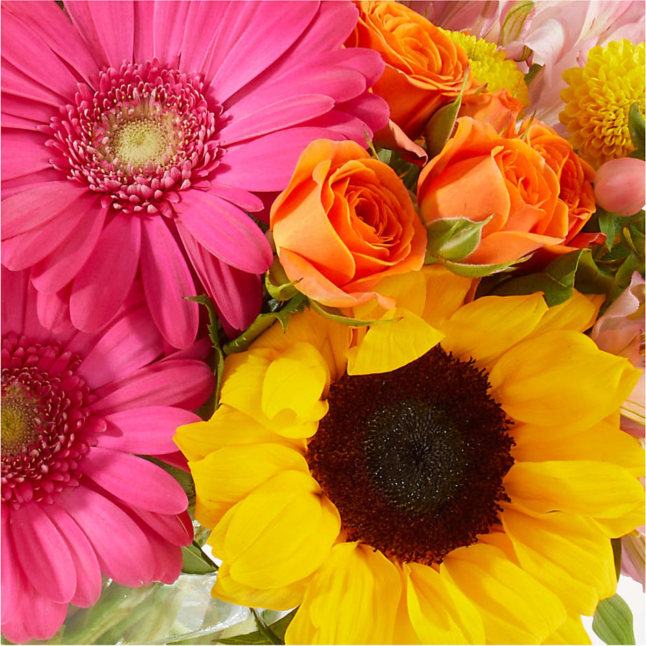 I'm Sorry Flowers Jacksonville FL | Same-Day Delivery | Miriam