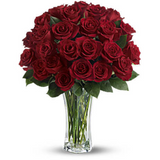 Love & Devotion Long Stem Roses