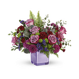 Purple Serenity