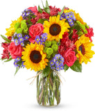 Floral arrangement featuring sunflowers, red alstroemeria, pink roses (in deluxe and premium versions), purple monte casino, and green button poms in a mason jar vase, with a personalized card message.