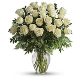 White Roses