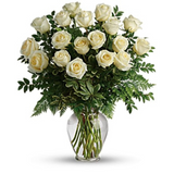 White Roses