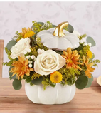 Plentiful White Pumpkin™
